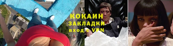 гидра Алексин
