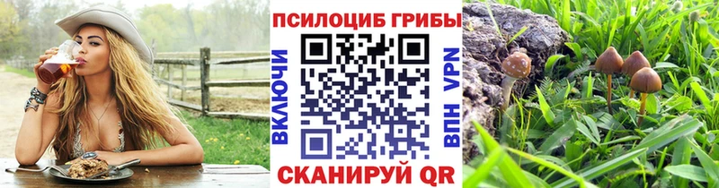 Псилоцибиновые грибы Cubensis  Монино 